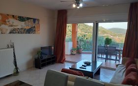 Olive Tree Apartments